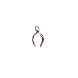 sterling silver horseshoe charm