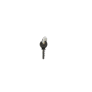 mini key charm