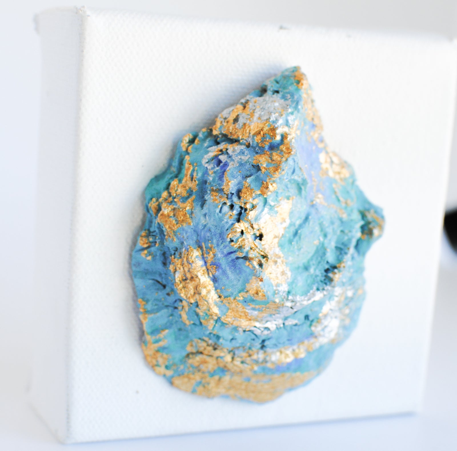 gilted oyster, three