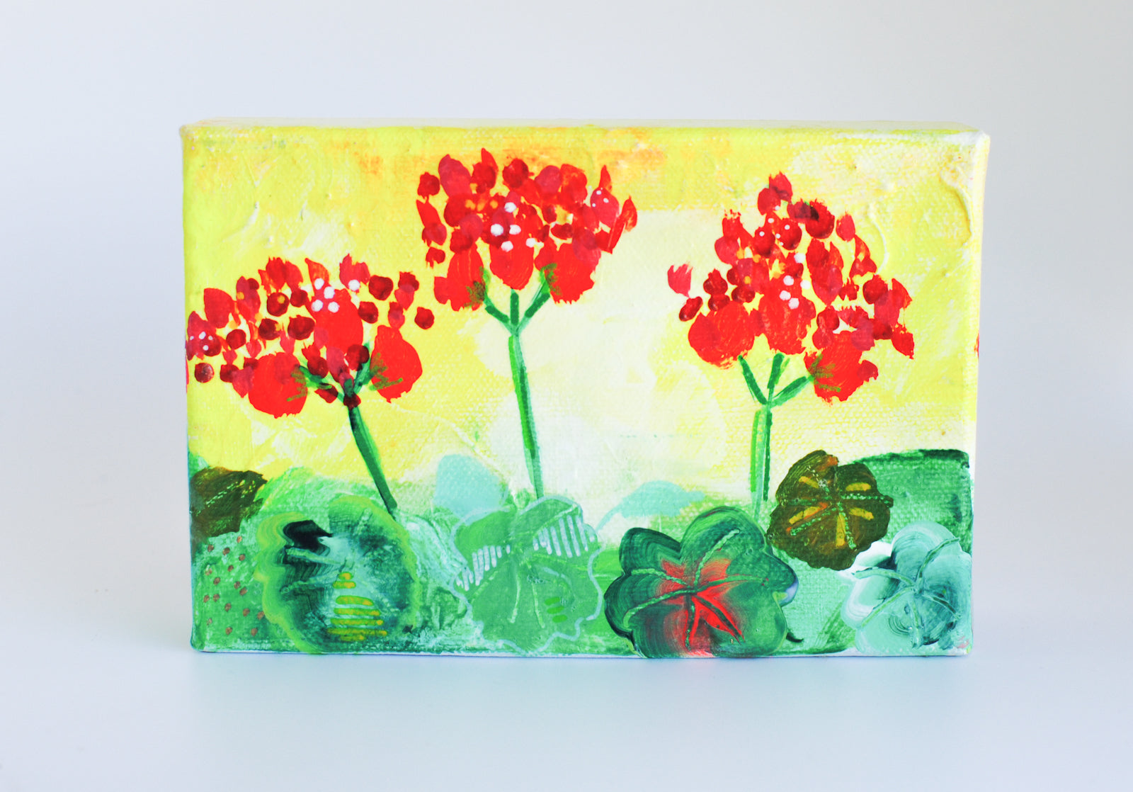 geraniums, yellow