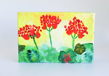 Load image into Gallery viewer, geraniums, yellow
