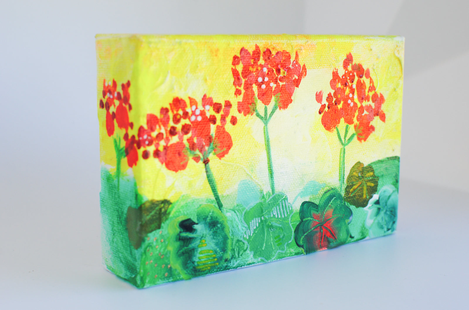 geraniums, yellow