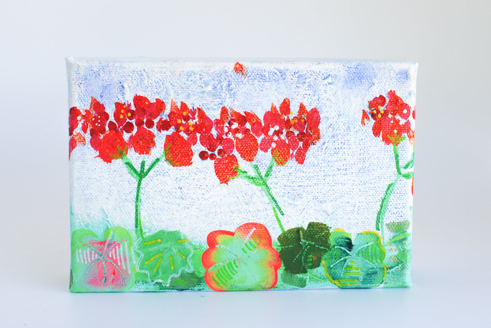 geraniums, blue