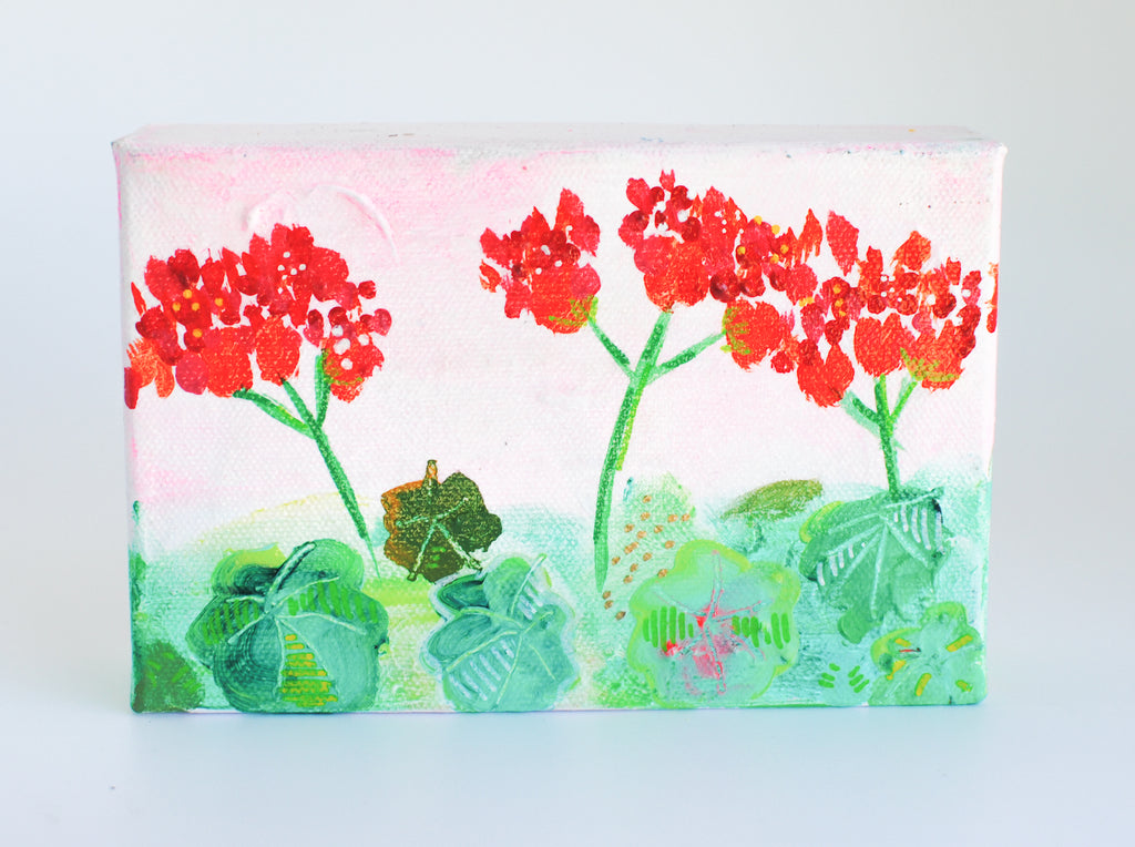 geraniums, pink