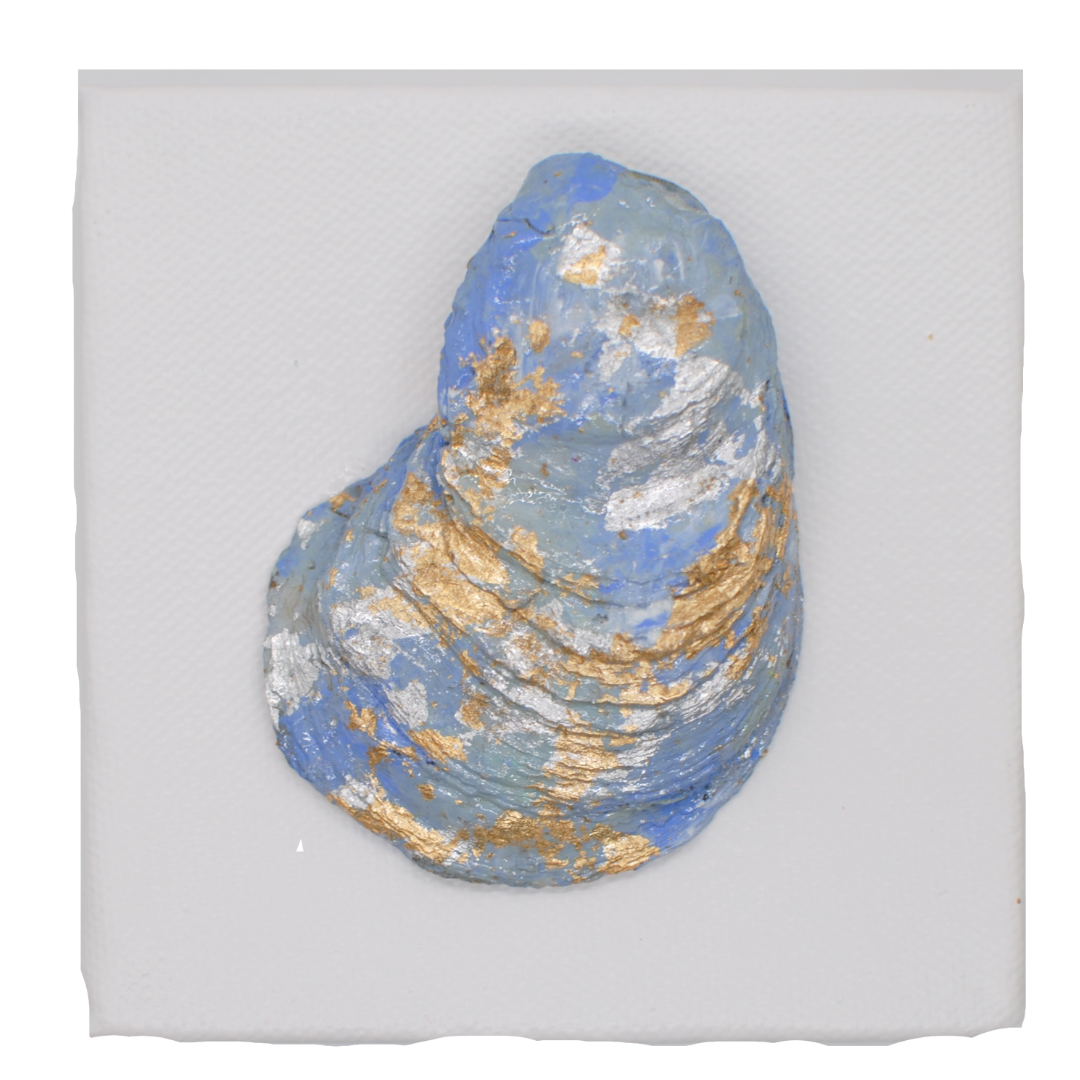 gilted oyster, four